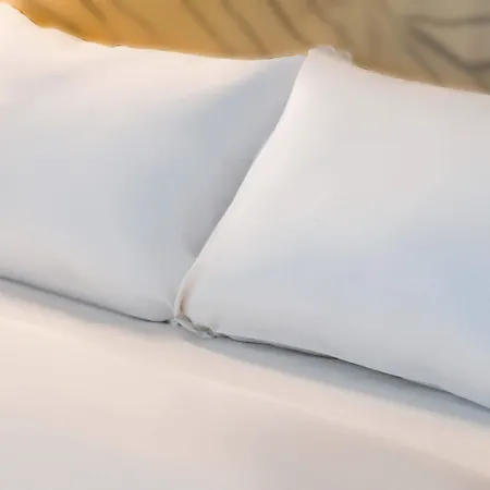 Hotel Paris Porte D'orleans 3*